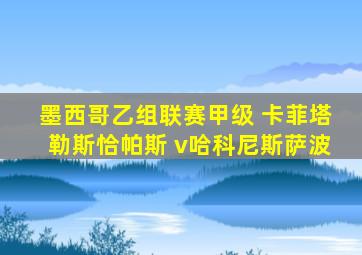 墨西哥乙组联赛甲级 卡菲塔勒斯恰帕斯 v哈科尼斯萨波